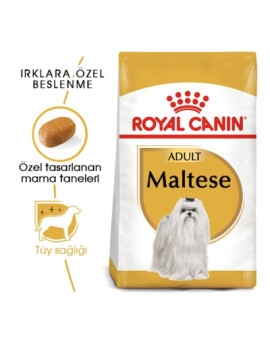 Royal Canin Maltese Terrier Yetişkin Köpek Maması 1,5kg