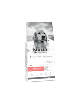 Molly Hipoalerjenik Derma Care Somonlu Büyük Irk Yetişkin Köpek Maması 15kg
